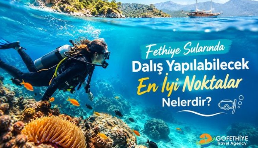 Fethiye Sularında Dalış Yapılabilecek En İyi Noktalar Nelerdir?